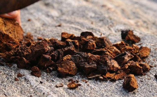 Hoe werken paddenstoel supplementen?