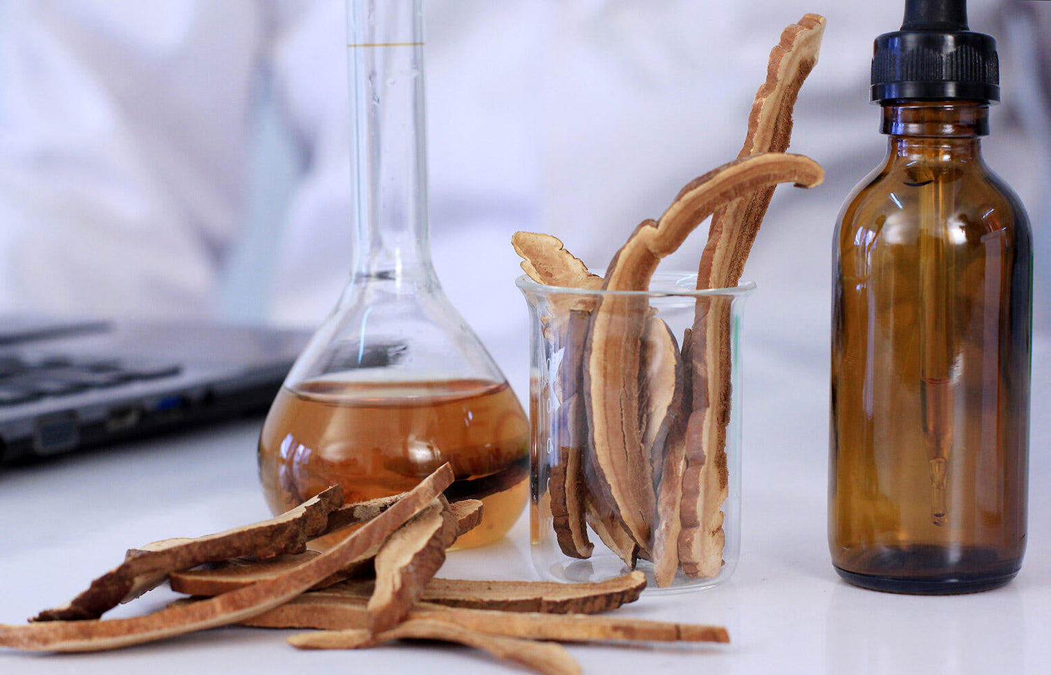 Hoe herken je écht goede mushroom extracten?