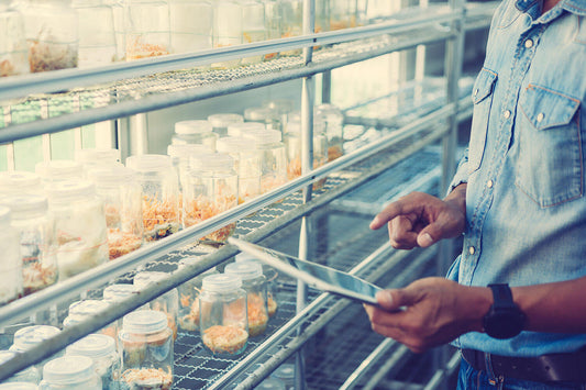 Paddenstoel supplementen in lab