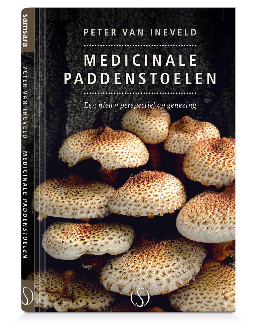 Medicinale paddenstoelen